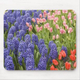 Niederlande (auch Holland), Lisse. Keukenhof 2 Mousepad