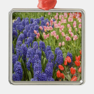 Niederlande (auch Holland), Lisse. Keukenhof 2 Ornament Aus Metall