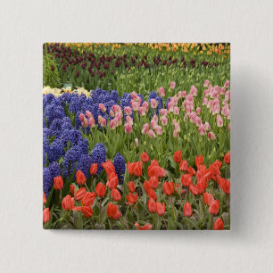 Niederlande (auch Holland), Lisse. Keukenhof 8 Button