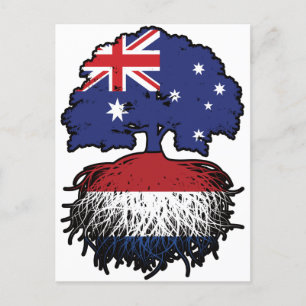 Niederlande Australien Tree Roots Postkarte