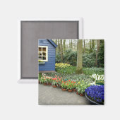 Niederlande (Holland), Lisse. 11 Magnet (Vorderseite/Rückseite)