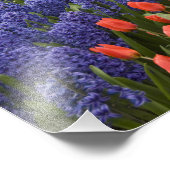 Niederlande (Holland), Lisse. Keukenhof 4 Fotodruck (Ecke)