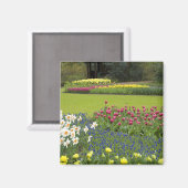 Niederlande (Holland), Lisse. Keukenhof 5 Magnet (Vorderseite/Rückseite)