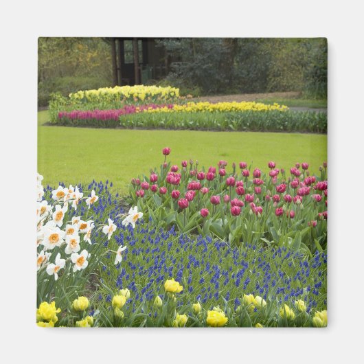 Niederlande (Holland), Lisse. Keukenhof 5 Magnet (Vorne)