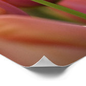 Niederlande (Holland), Lisse. Keukenhof 6 Poster (Ecke)