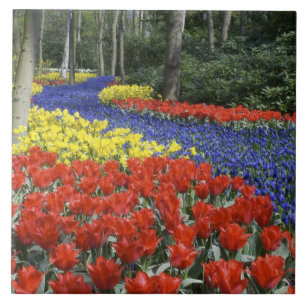 Niederlande, Holland, Lisse, Keukenhof Gardens Fliese