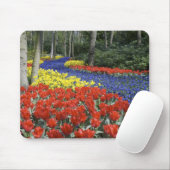 Niederlande, Holland, Lisse, Keukenhof Gardens Mousepad (Mit Mouse)