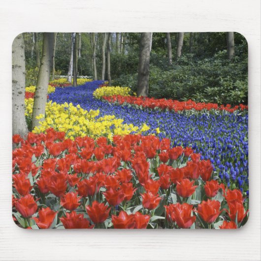 Niederlande, Holland, Lisse, Keukenhof Gardens Mousepad (Vorne)