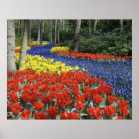 Niederlande, Holland, Lisse, Keukenhof Gardens