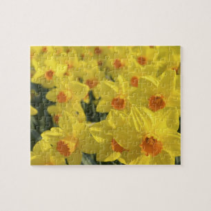 Niederlande, Holland, Lisse, Keukenhof Gardens, Puzzle
