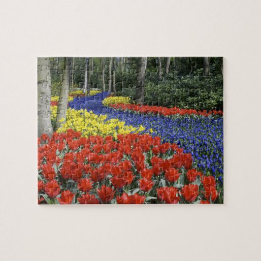 Niederlande, Holland, Lisse, Keukenhof Gardens Puzzle (Horizontal)