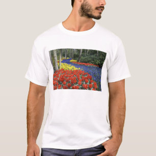 Niederlande, Holland, Lisse, Keukenhof Gardens T-Shirt