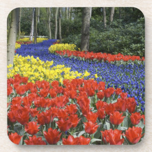 Niederlande, Holland, Lisse, Keukenhof Gardens Untersetzer
