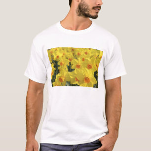 Niederlande, Holland, Lisse, Keukenhof-Gärten, T-Shirt
