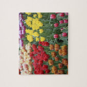 Niederlande, Keukenhoff Gardens, Tulpen. Puzzle (Vertikal)
