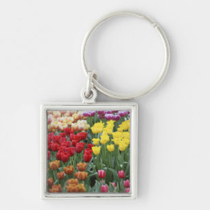 Niederlande, Keukenhoff-Gärten, Tulpen. Schlüsselanhänger