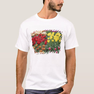 Niederlande, Keukenhoff-Gärten, Tulpen. T-Shirt