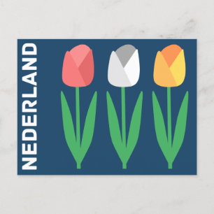 Niederlande Postkarte