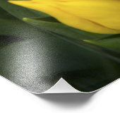 Niederlande, Südholland, Amsterdam Fotodruck (Ecke)