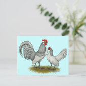 Niederländisch Bantam:  Selbblau Postkarte (Stehend Vorderseite)