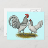 Niederländisch Bantam: Selbblau Postkarte (Vorne/Hinten)