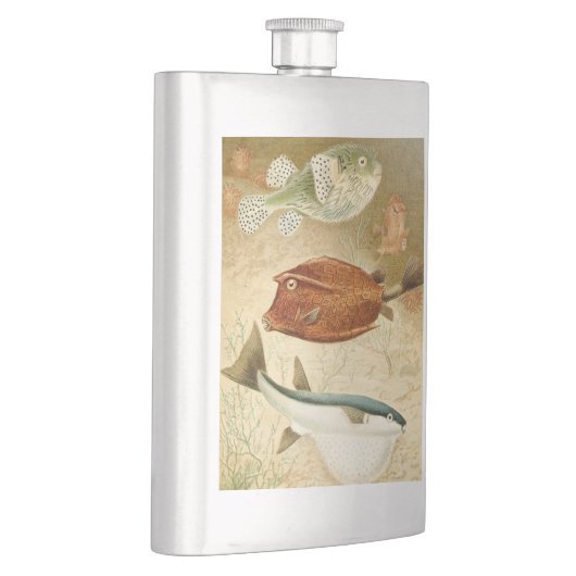 Niederländisch Flachmann (Rechts)