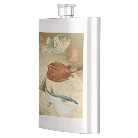 Niederländisch Flachmann (Links)