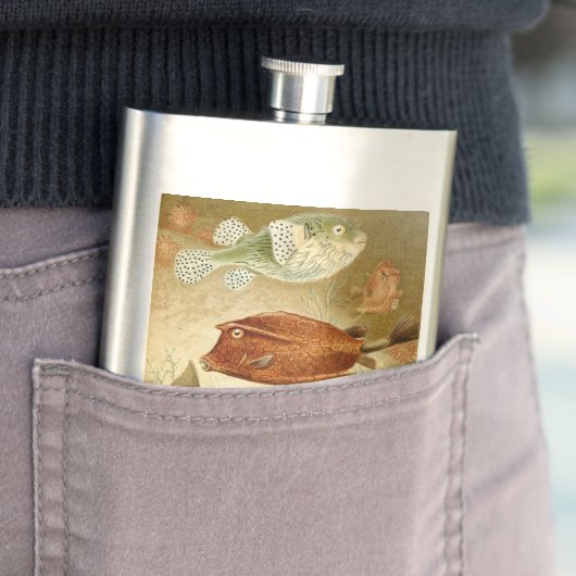 Niederländisch Flachmann (Beispiel)