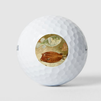 Niederländisch Golfball