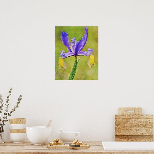Niederländisch Iris Blume Fotokunst Poster (Küche)