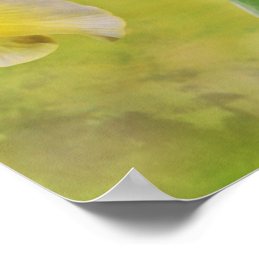 Niederländisch Iris Blume Fotokunst Poster (Ecke)