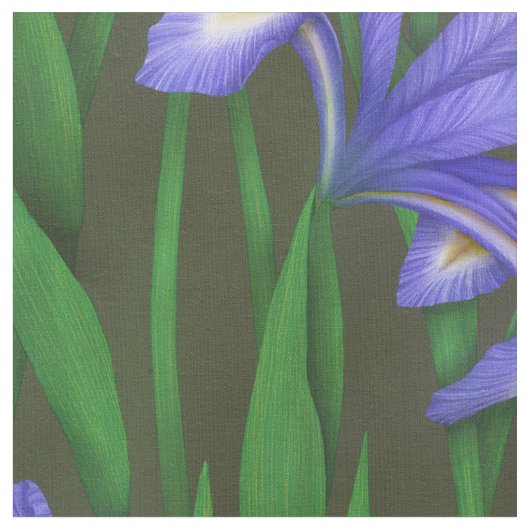 Niederländisch Iris (groß) Stoff (Nahaufnahme)