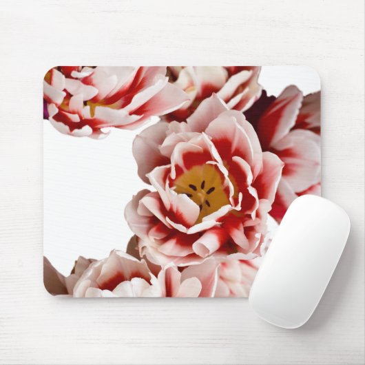 Niederländisch-Meister Mousepad (Mit Mouse)