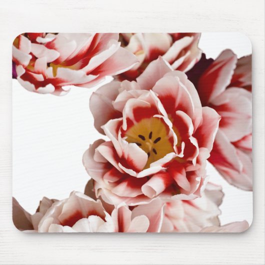 Niederländisch-Meister Mousepad (Vorne)