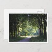 Niederländisch Salland Region Westerveldse Bos For Postkarte (Vorne/Hinten)