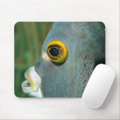 Niederländische Antillen, Bonaire, nahes Unterwass Mousepad (Mit Mouse)
