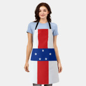 Niederländische Antillen-Flagge Schürze (Getragen)