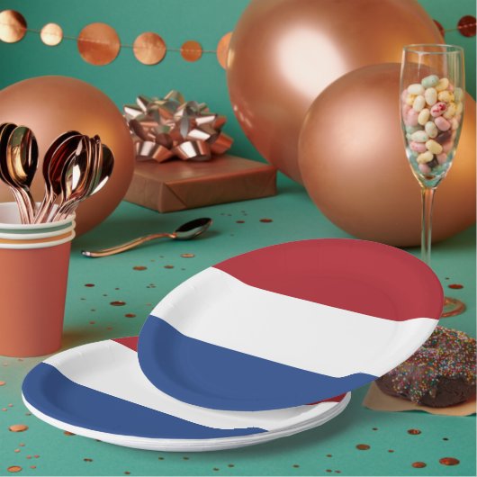niederländische Flagge Pappteller (Multi)