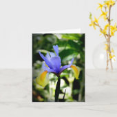 Niederländische Iris Karte (Gelbe Blume)