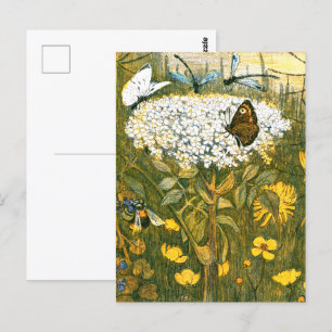 Niederländische Jugendstil-Wildblumen, Schmetterli Postkarte