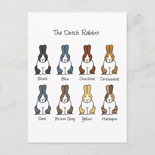 Niederländische Kaninchenfarben Postkarte (Vorderseite)