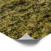 Niederländische Nostalgie Poster (Ecke)