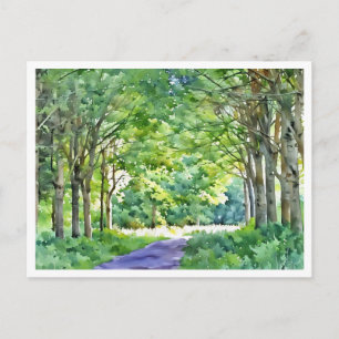 Niederländische Region Salland Westerveldse Bos Wa Postkarte