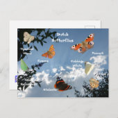 Niederländische Schmetterlinge Namen Postkarte (Vorne/Hinten)