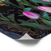 Niederländische Windmühle bei Sunset in Holland Po Poster (Ecke)