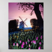 Niederländische Windmühle bei Sunset in Holland Po Poster (Vorne)