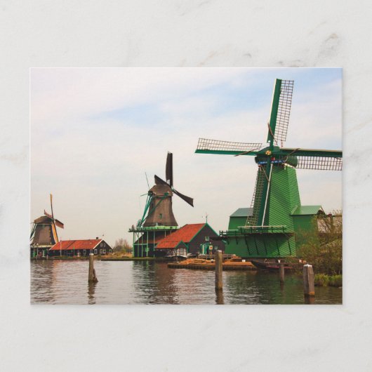 Niederländische Windmühlen, Zaanse Schans. Postkarte (Vorderseite)