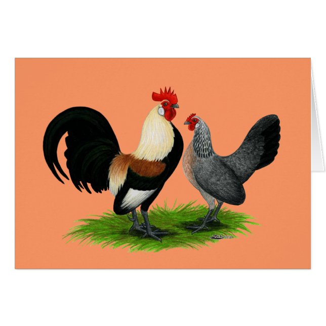 Niederländische Zwerghühner:  Sahnehellbraunes (Vorderseite (Horizontal))