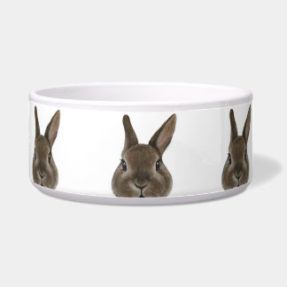 Niederländische Zwergkaninchen Braune Keramik fütt Napf