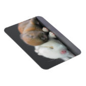 Niederländische Zwergkaninchen Magnet (Rechte Seite)